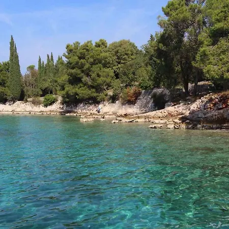Two-bedroom In Malinska/insel Krk 13080